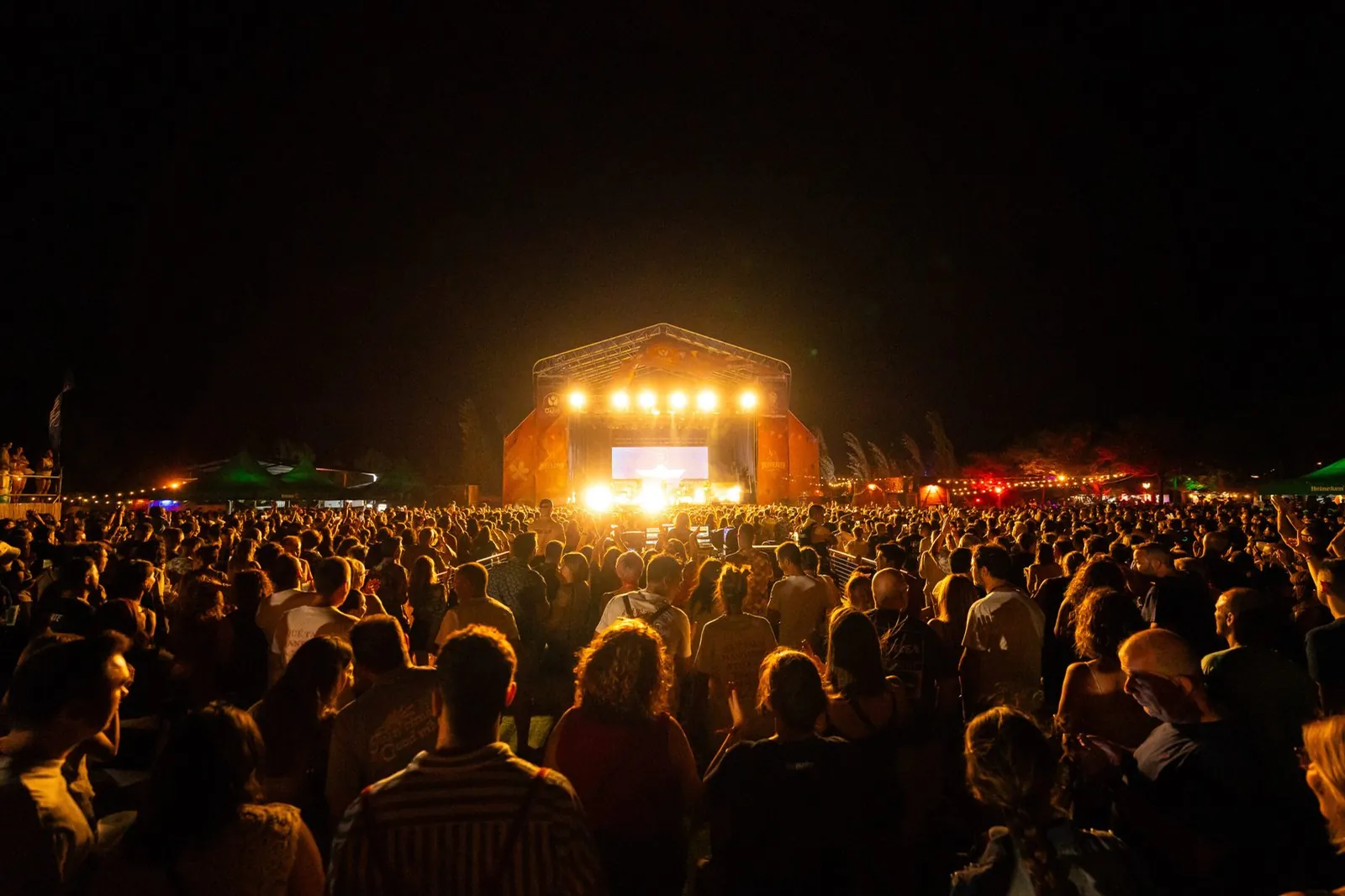 Asistentes de un festival durante un concierto