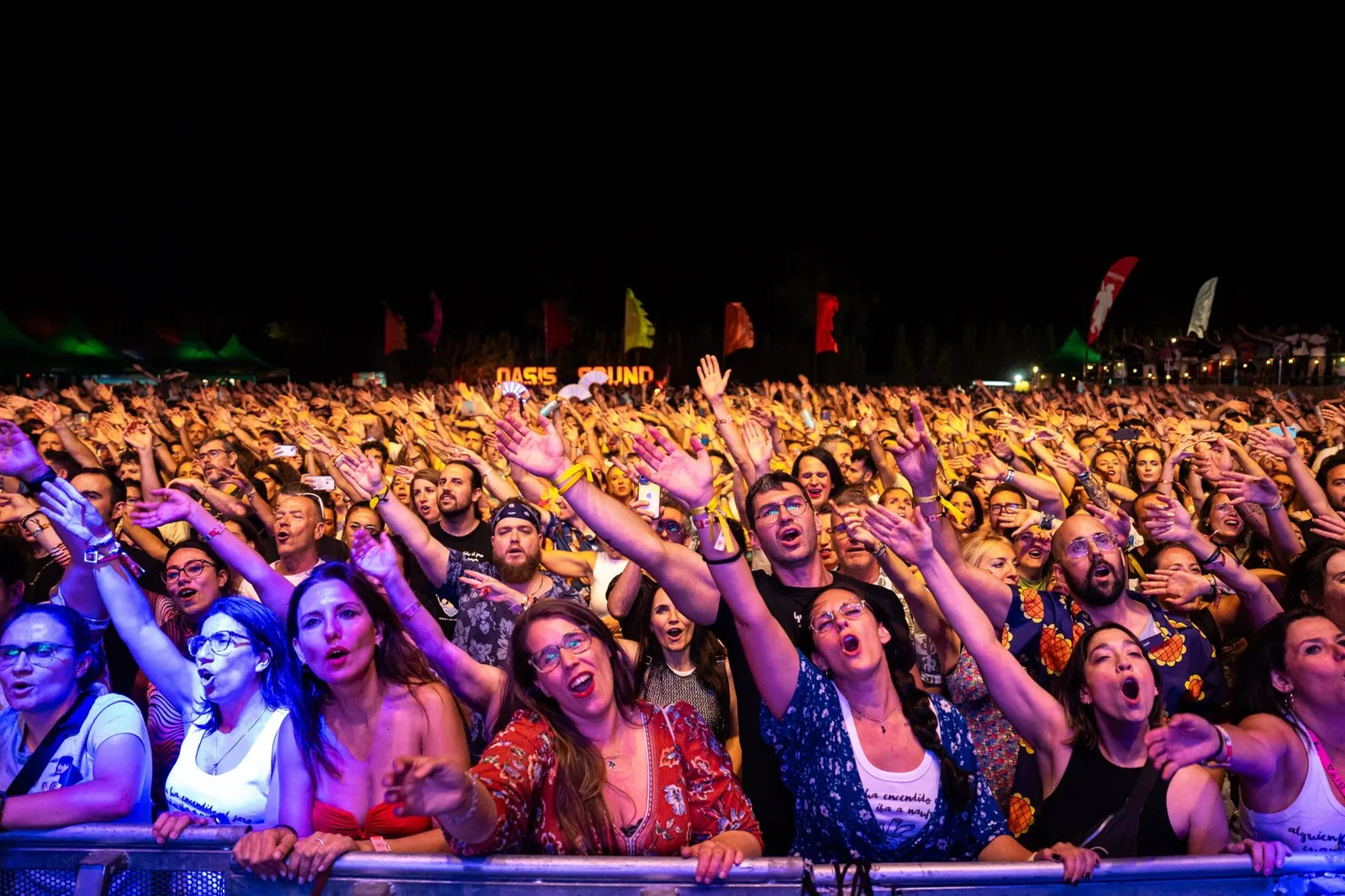 Público de un festival grabando el concierto con el móvil